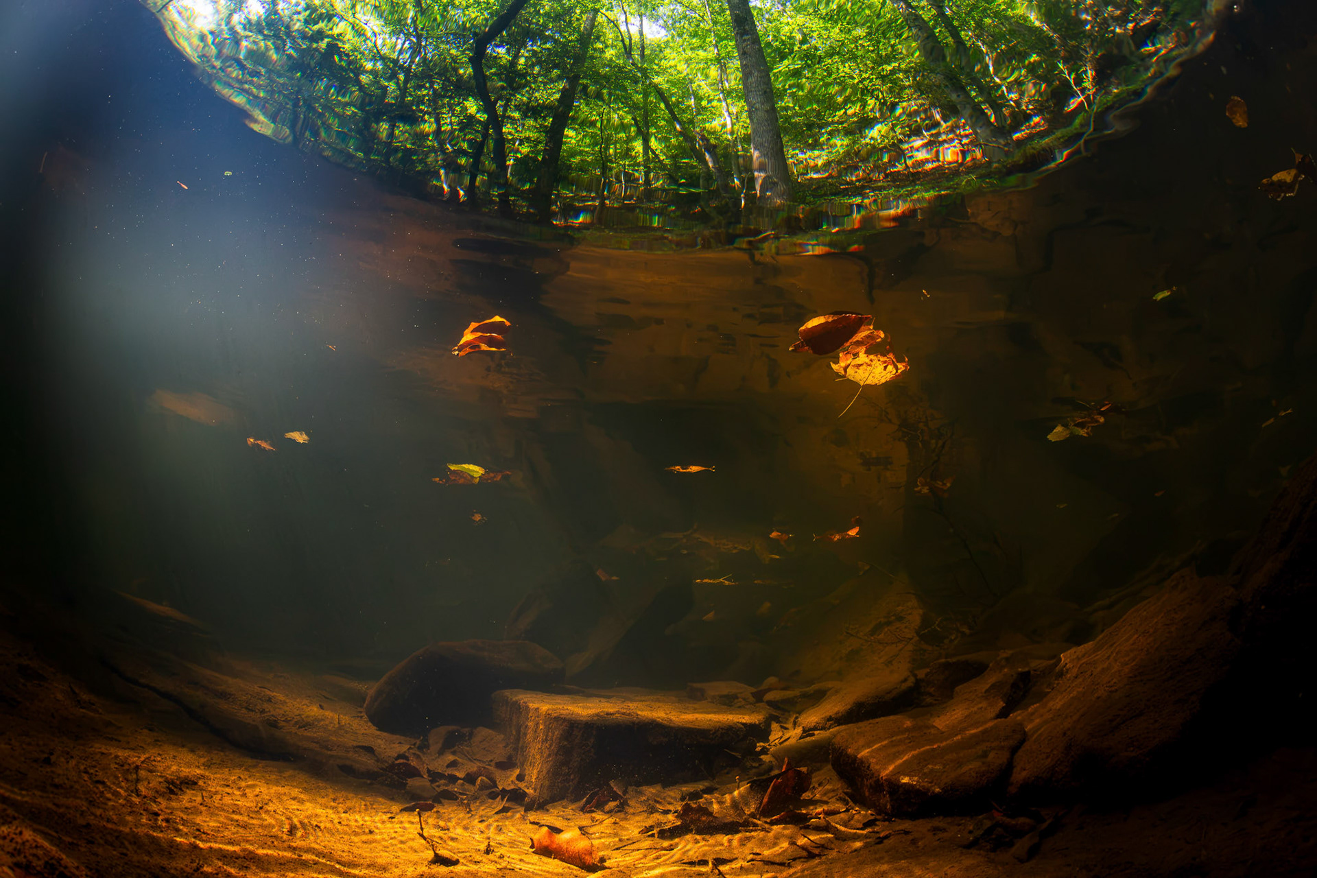Little Bear Creek