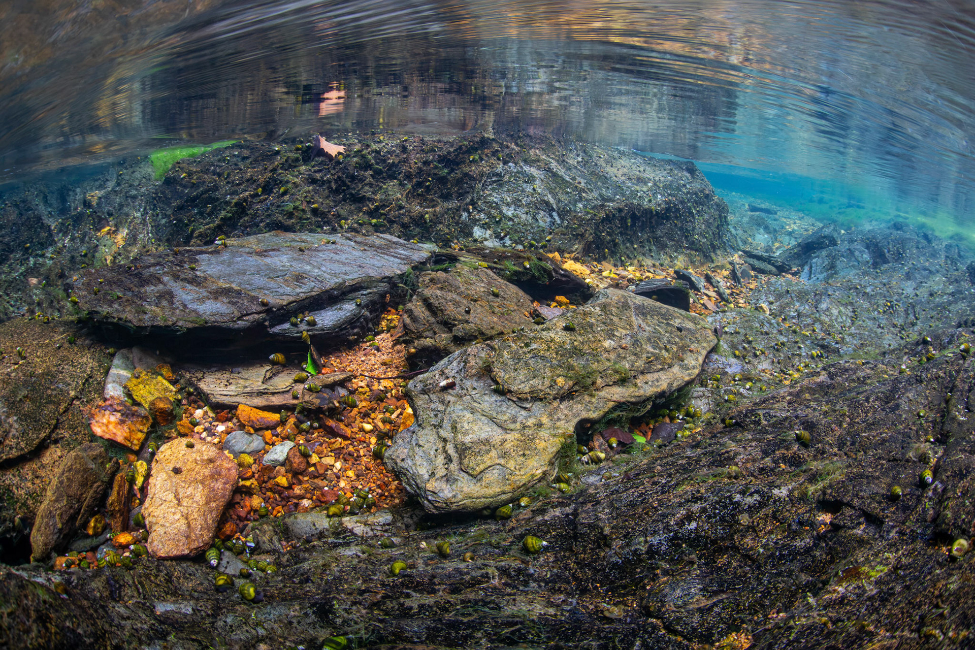 Mill Creek Shoals