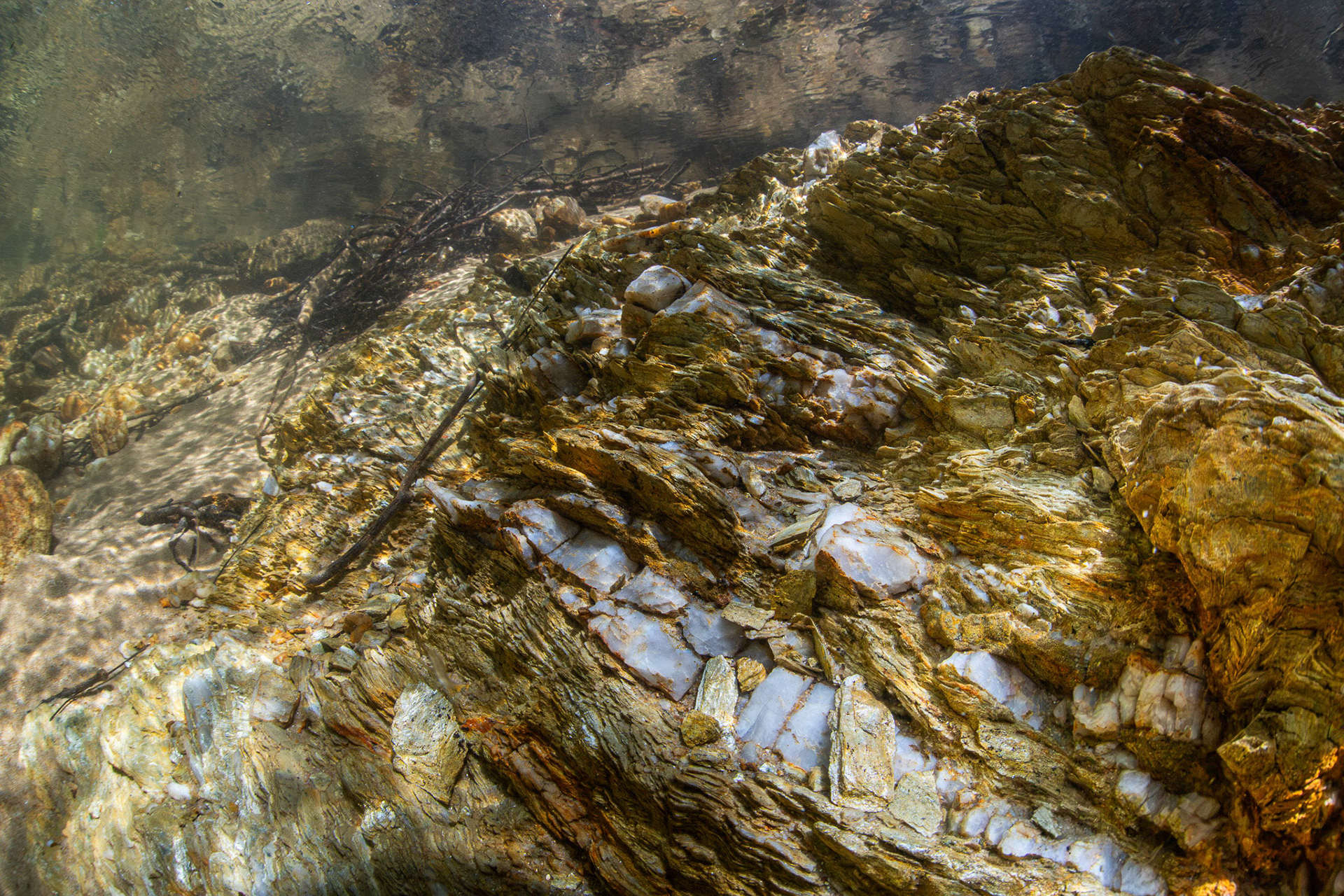 Spring Fed Creek