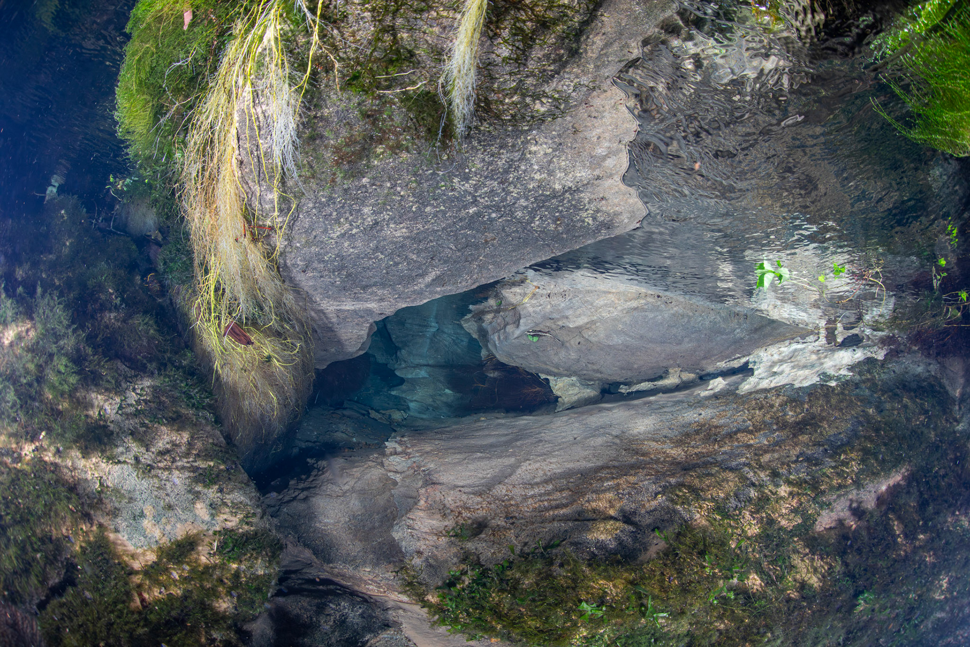 Karst openings inside spring head.