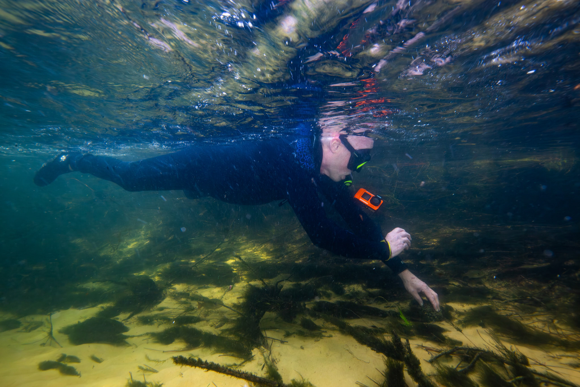 Dr. David Frings surveying for Gambusia.