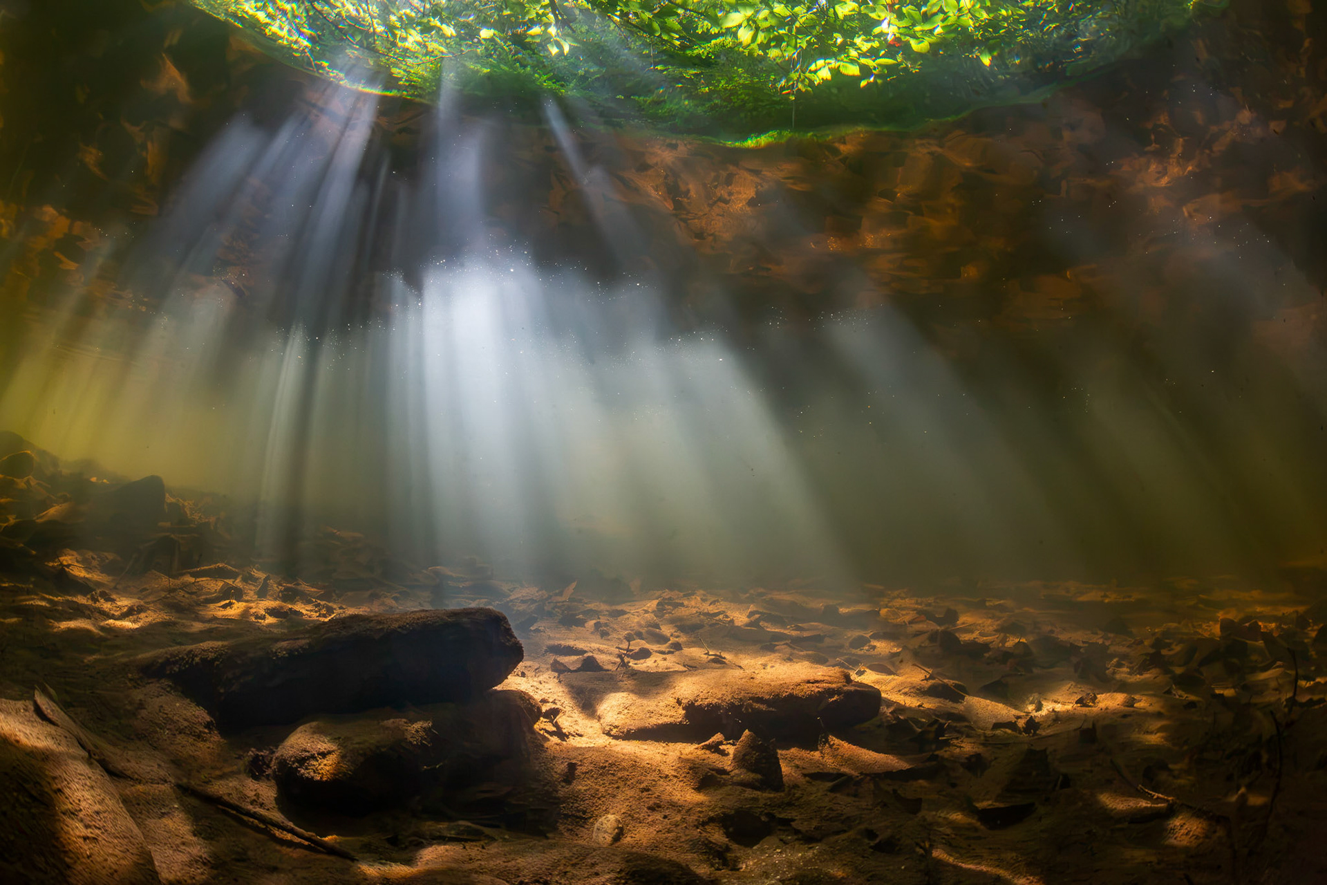 Little Bear Creek