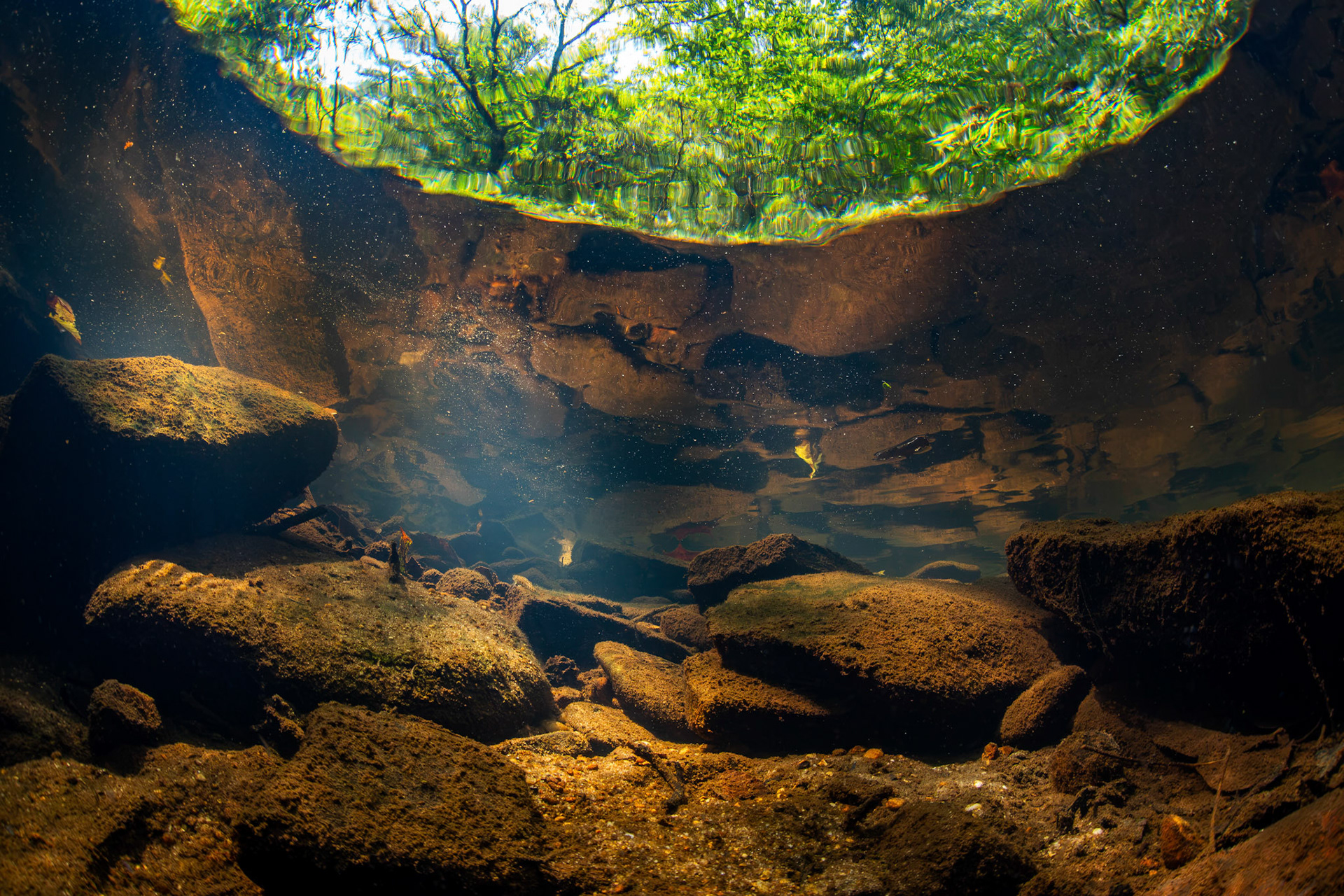 Little Bear Creek