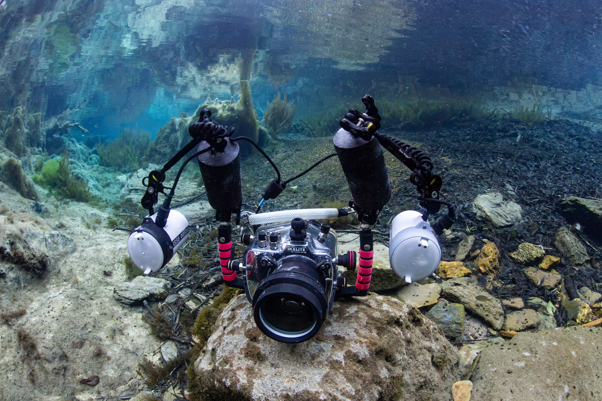 Bay Spring Head
