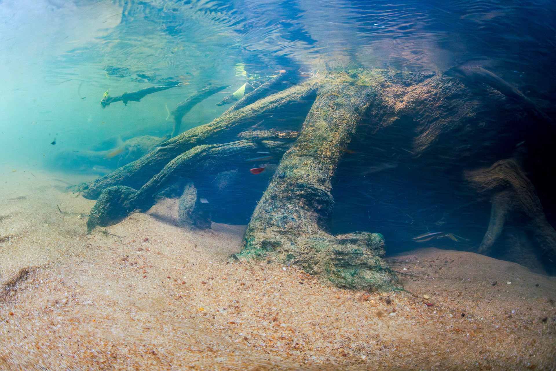 Spring Fed Creek