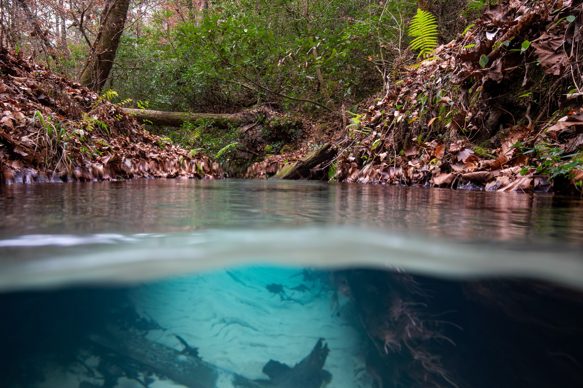 Spring Run