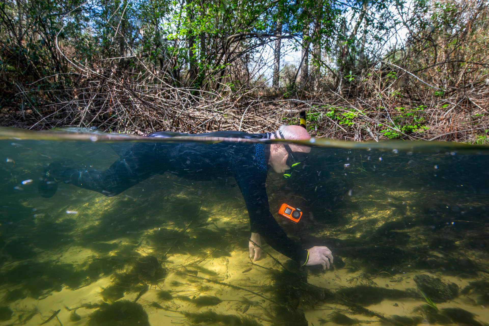 Dr. David Frings surveying for Gambusia.