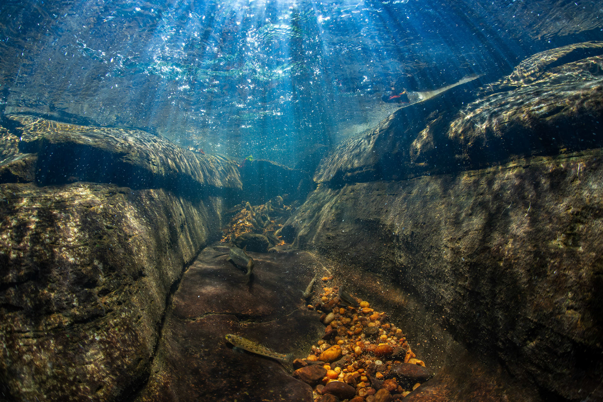 Little Bear Creek