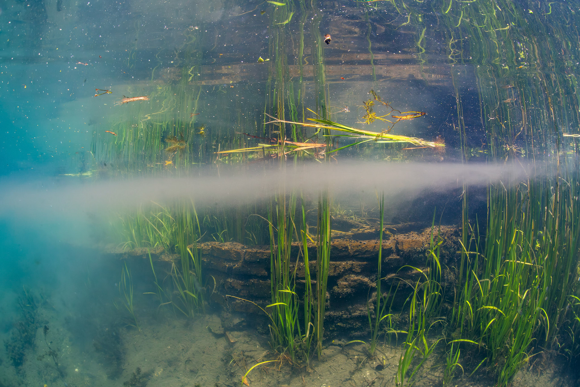 Sediment Plume