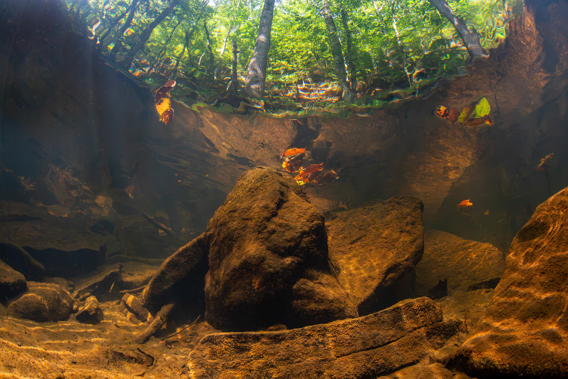 Little Bear Creek