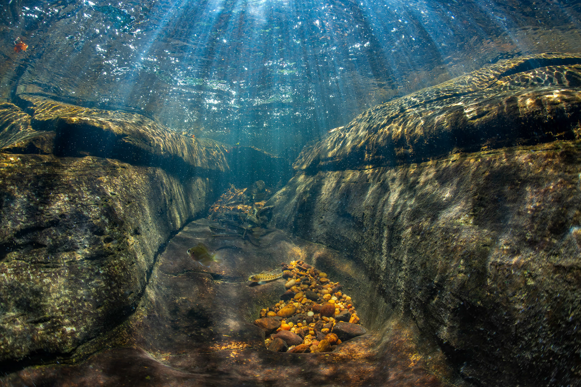 Little Bear Creek
