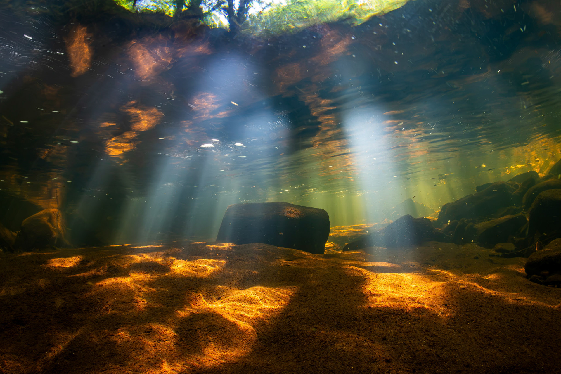 Little Bear Creek