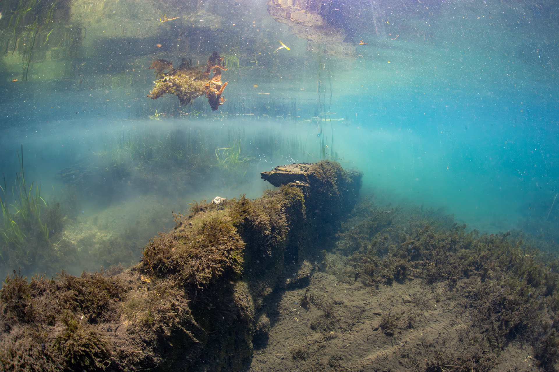 Submerged Rockwall