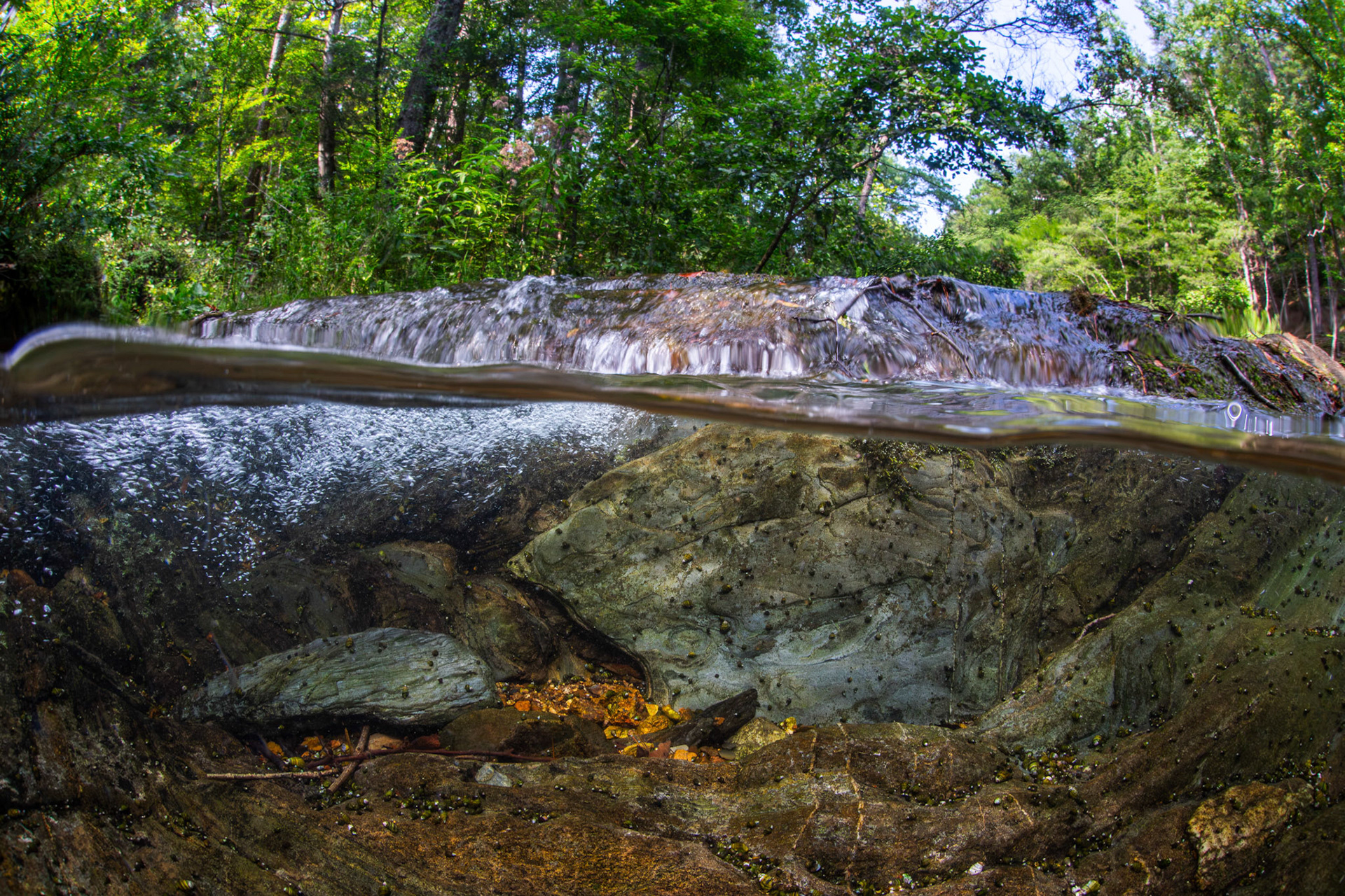 Mill Creek Shoals