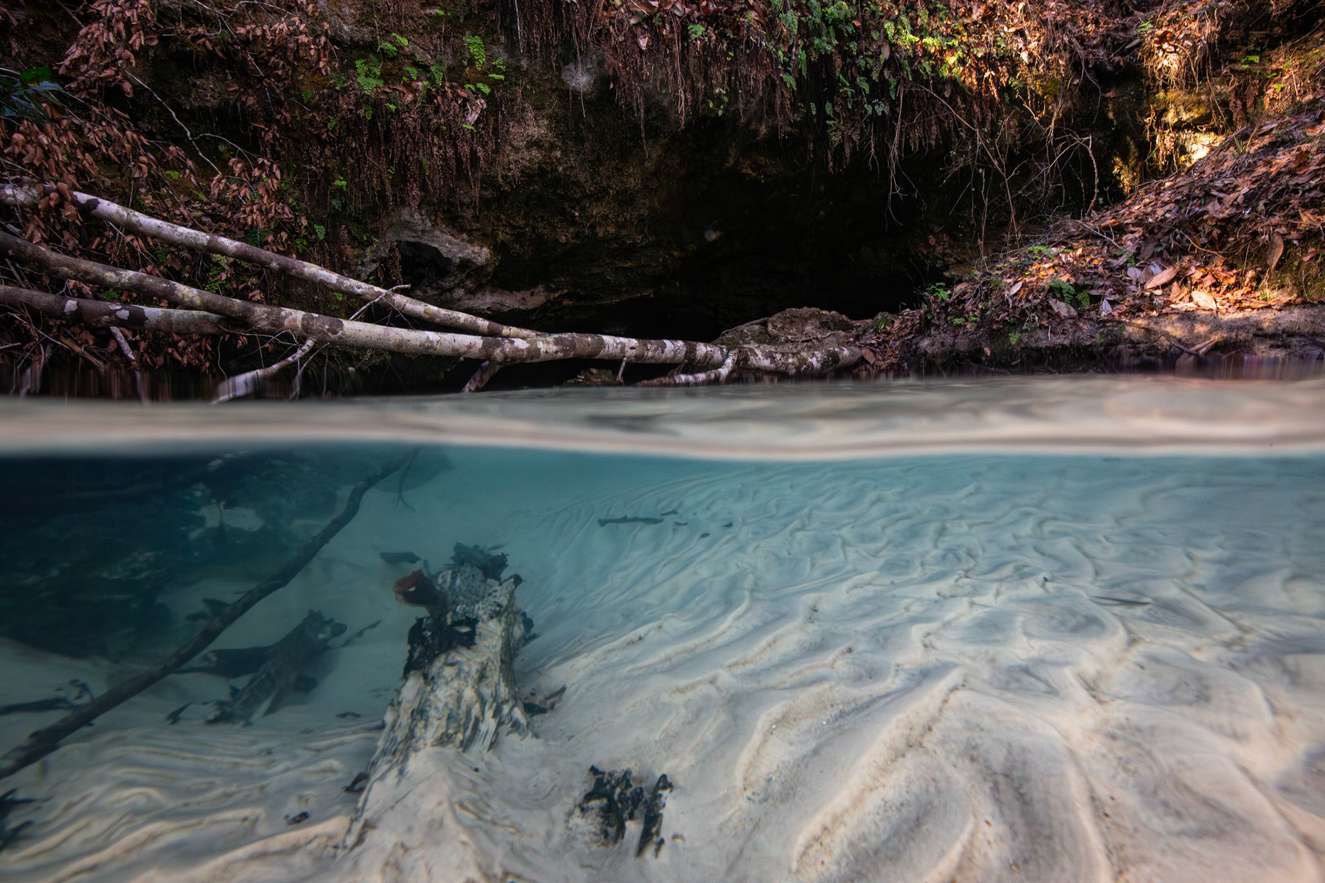 Spring Run