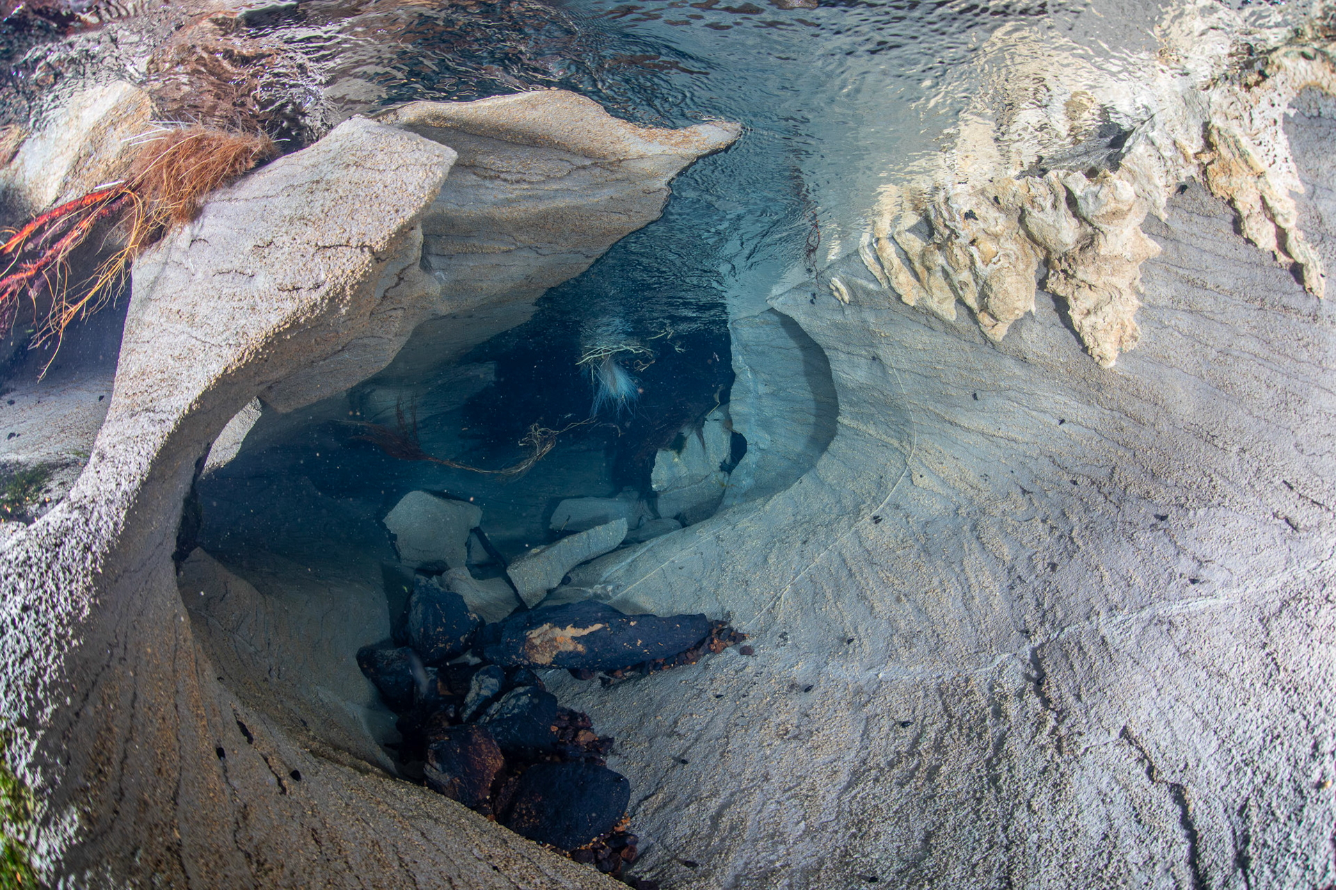 Karst opening into spring vent.