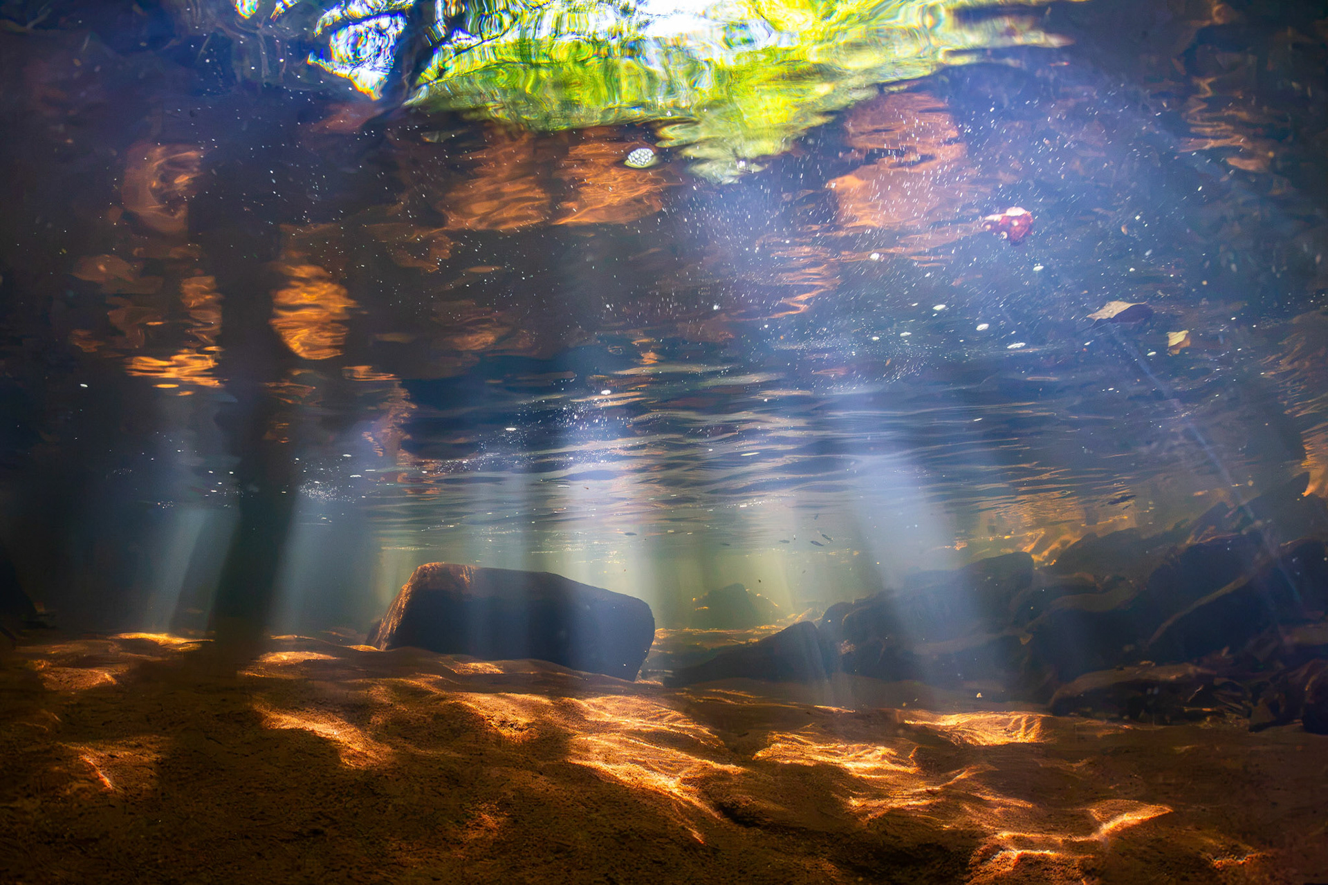 Little Bear Creek