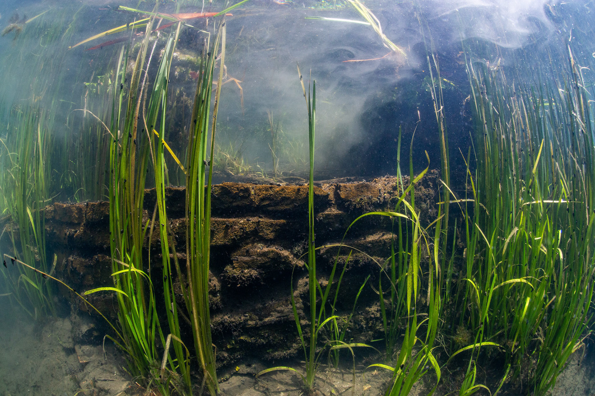 Submerged Rockwall