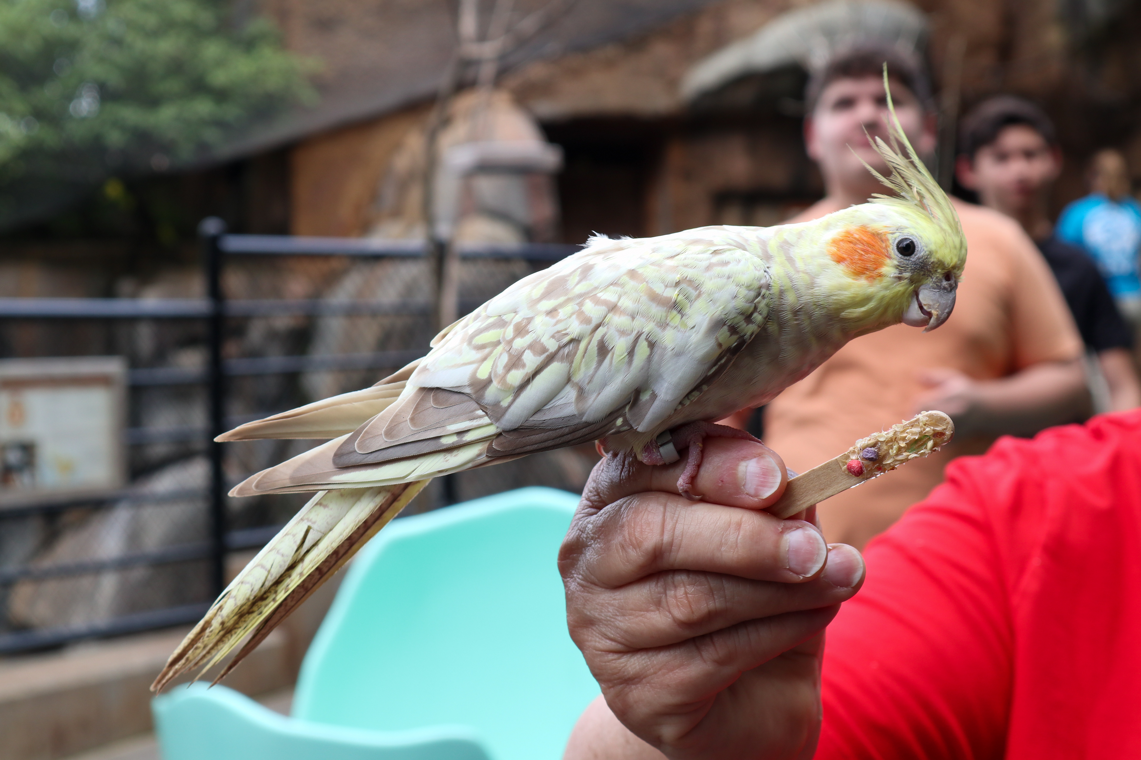 At the Knoxville Zoo 7/2/21