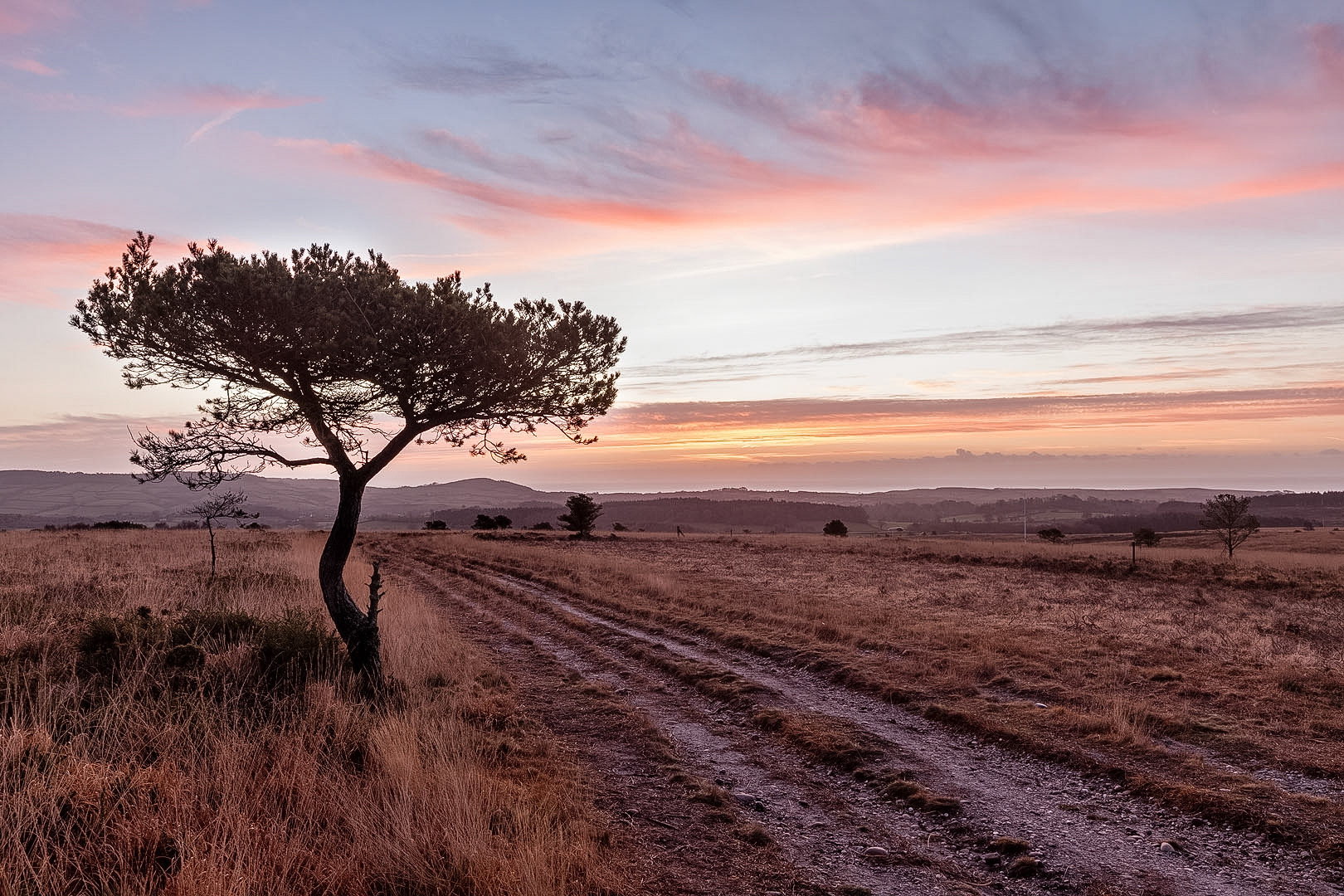 Woodbury Common