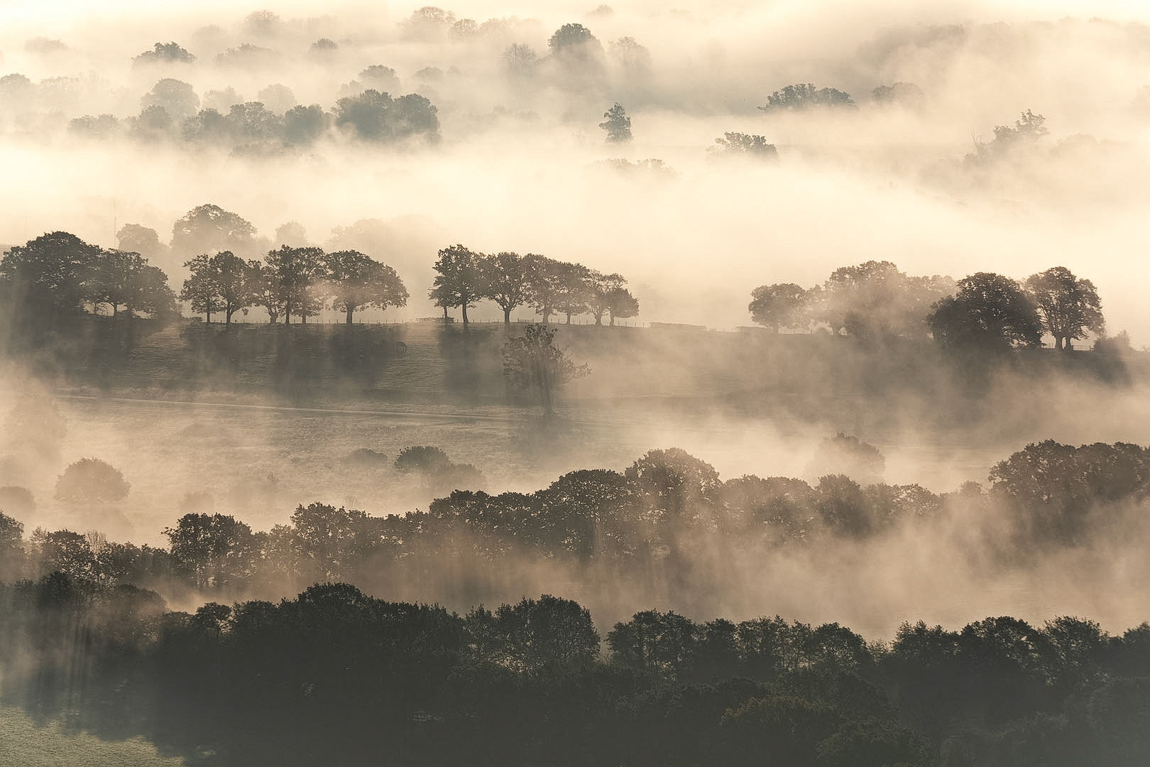 Misty fields beneath the Malvern Hills