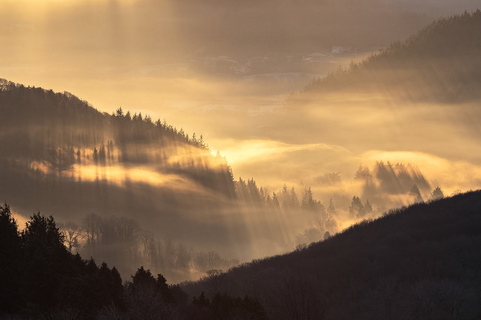 The view from Haytor Down on a foggy morning, Dartmoor