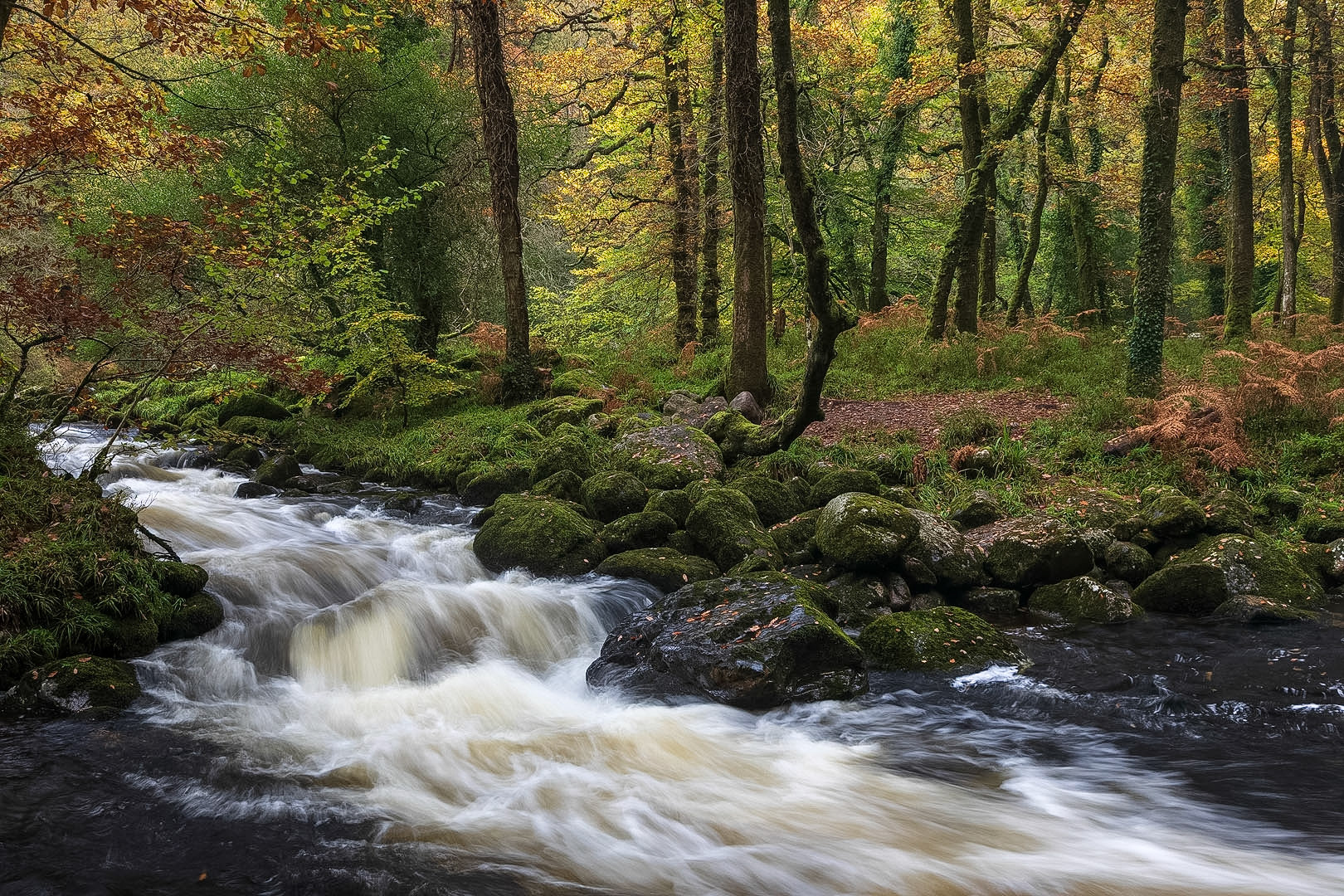 River Dart in autumn