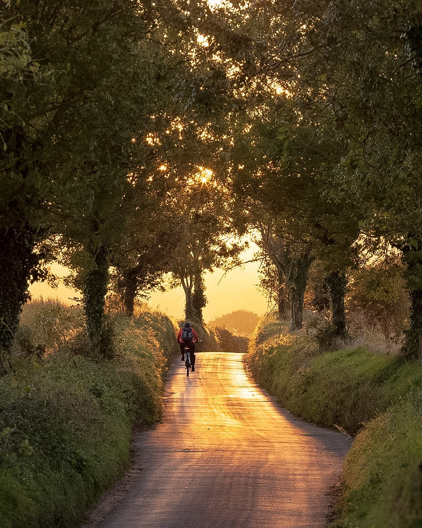 Cycling into the light, East Devon