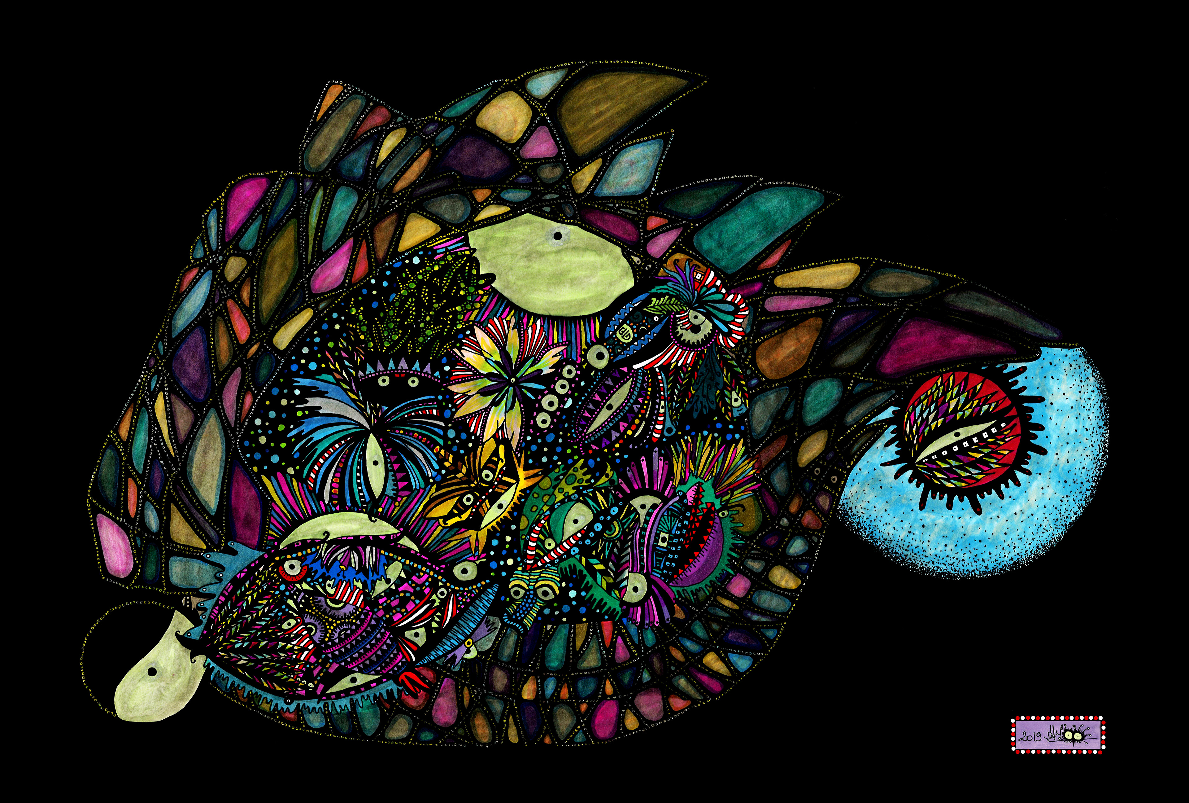 31 - Space achinos