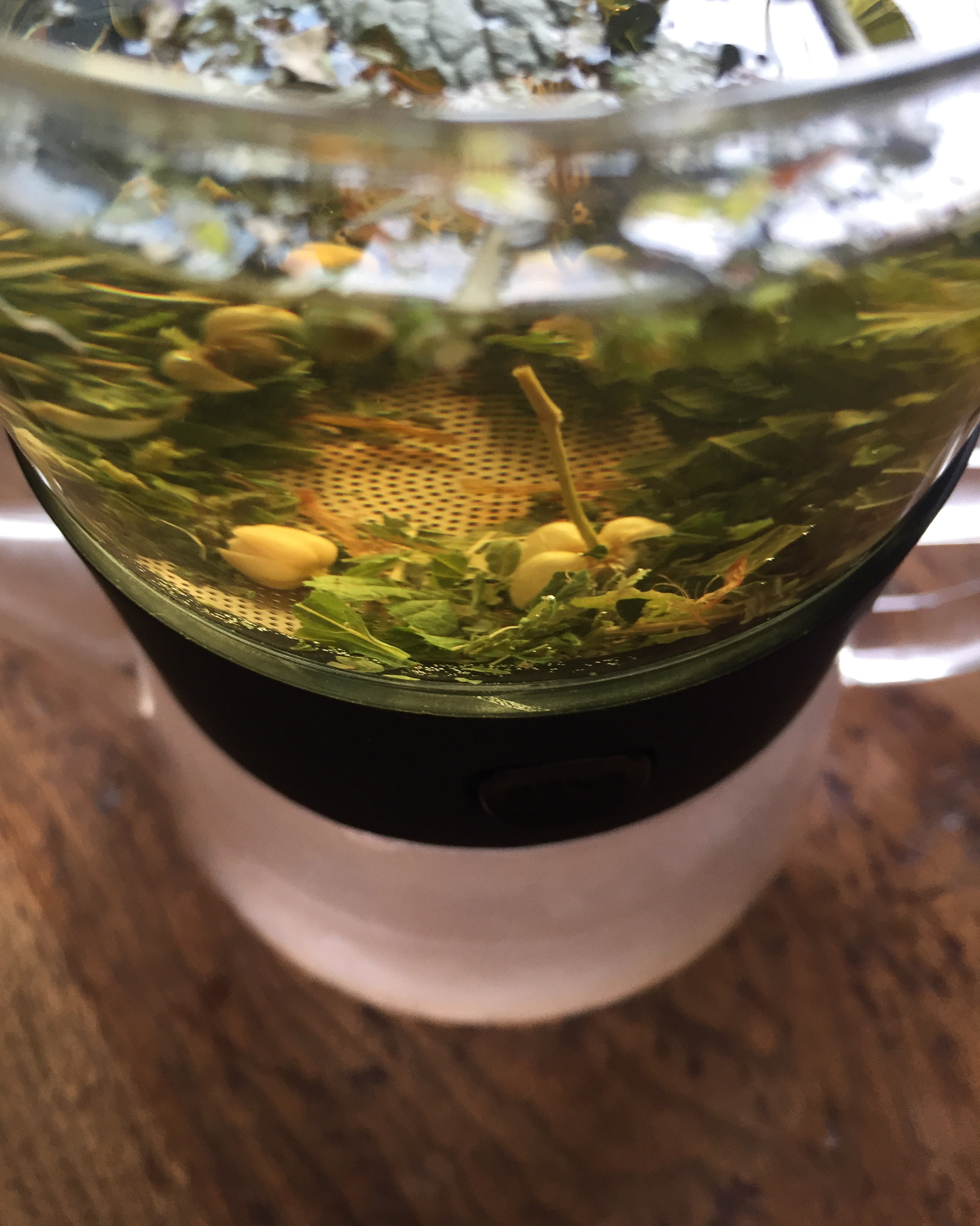 Zens tea brewer