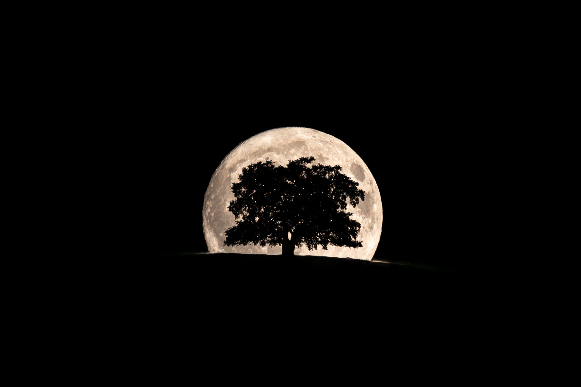 Moonrise and Chêne de Venon - France
