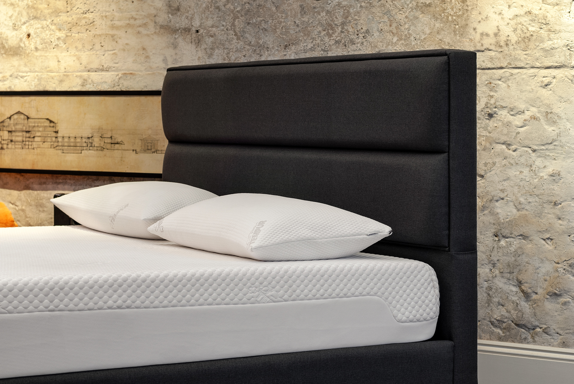 Client: Warren Evans | Photographer: Marcin Noga