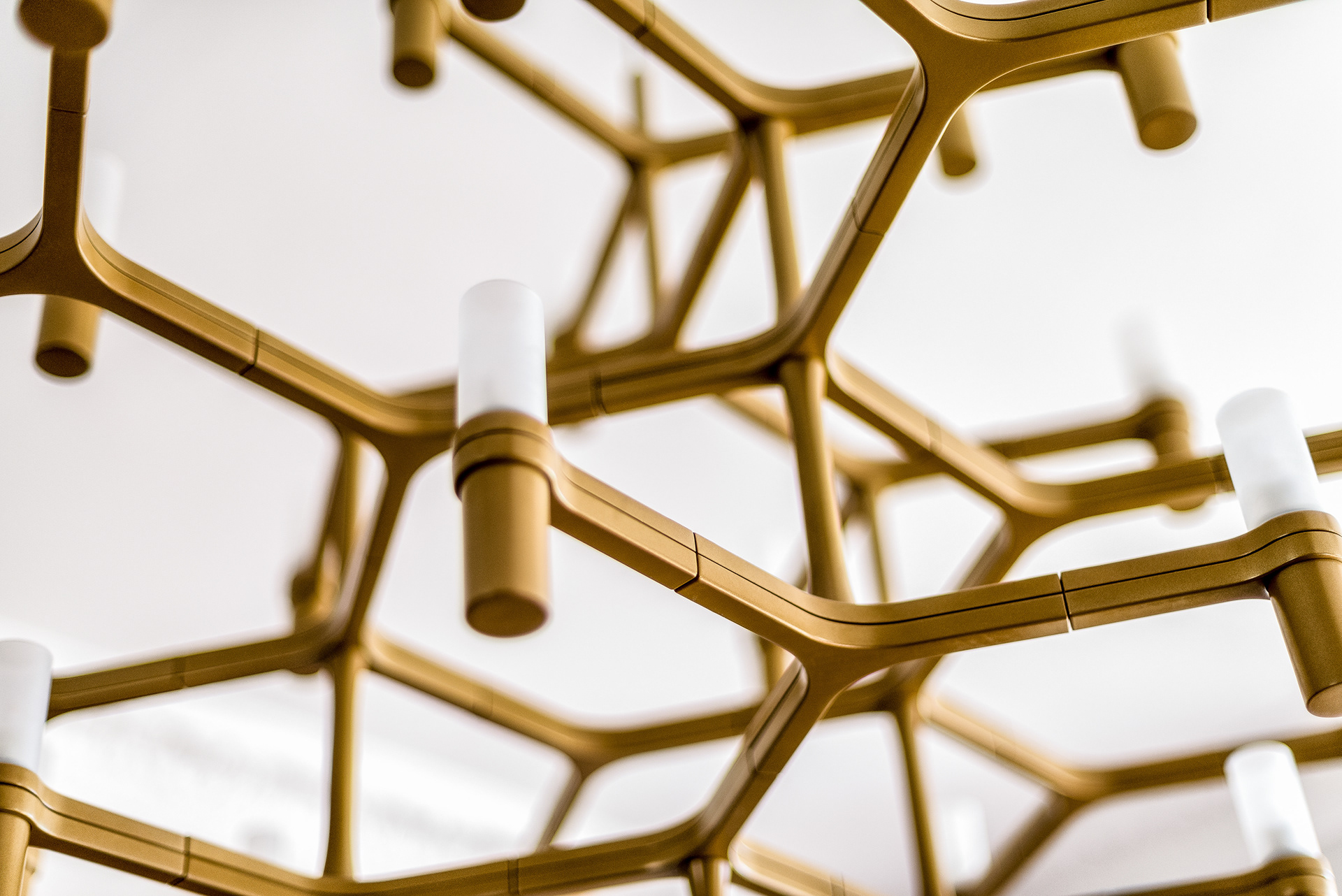 Design: Laroya Architectural Design | Interior photography: Marcin Noga