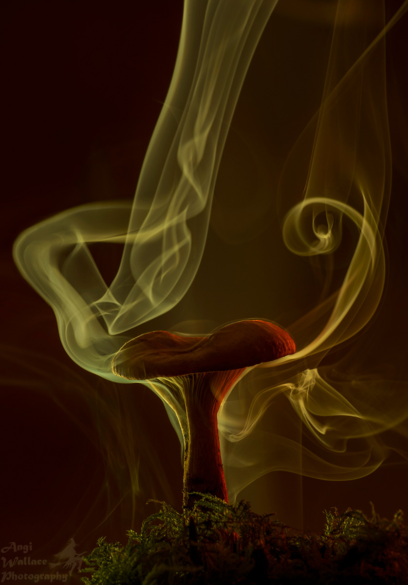 Milk cap with smoke