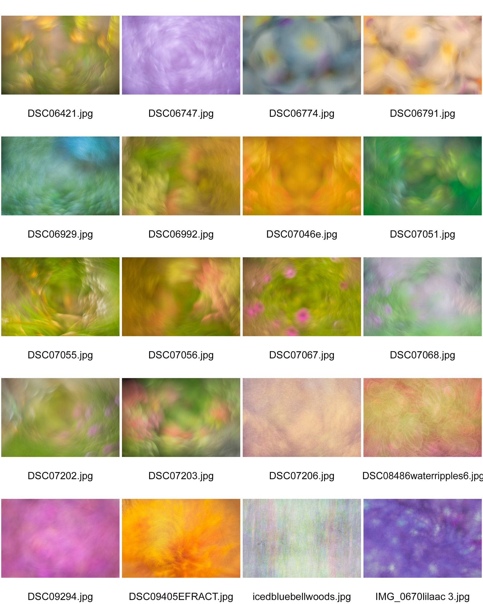 The Enchanted collectiomn