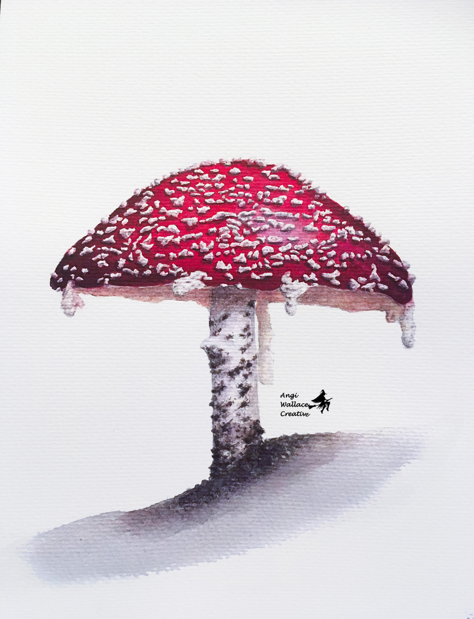 Fly agaric mushroom