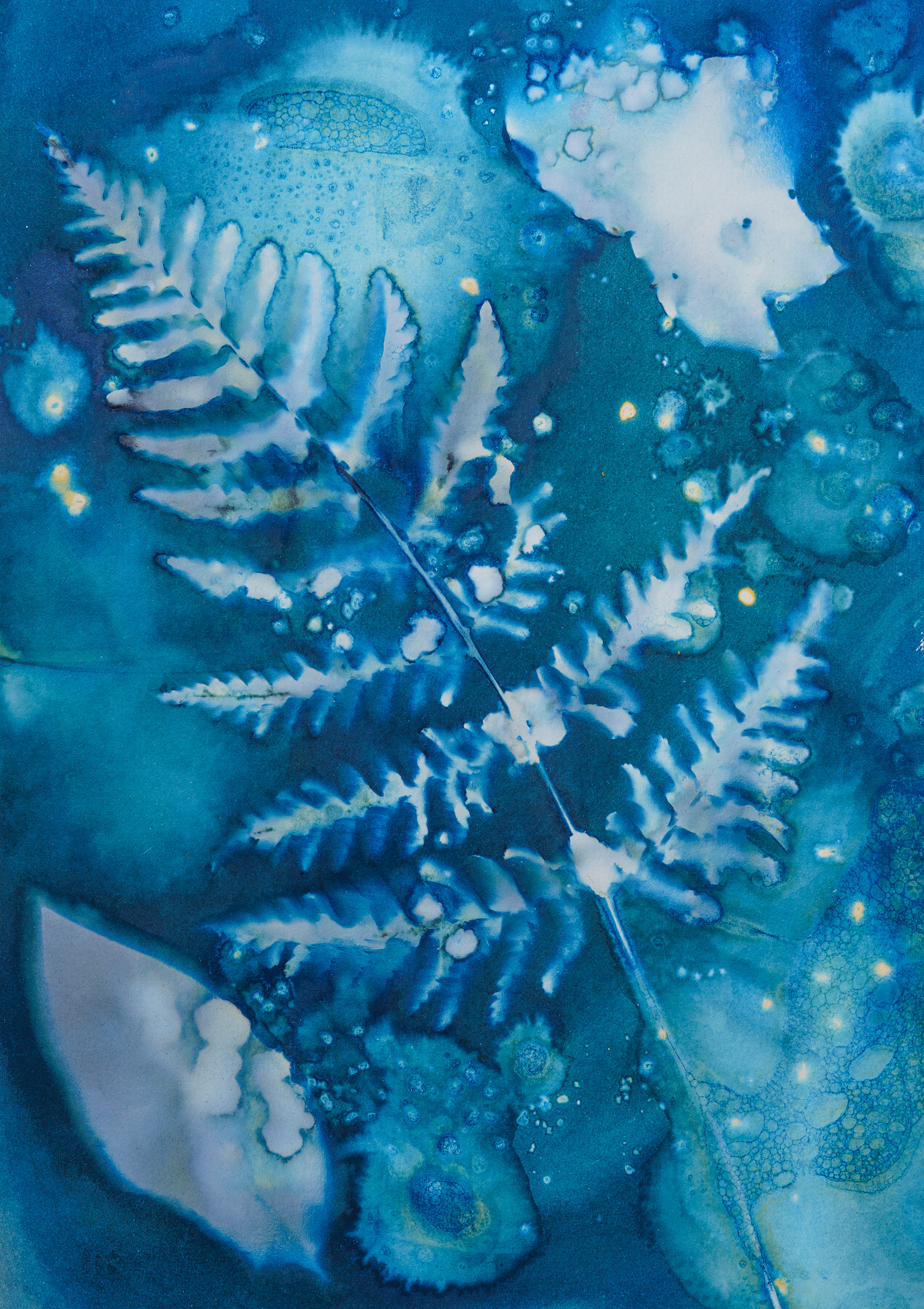 Cyanotype