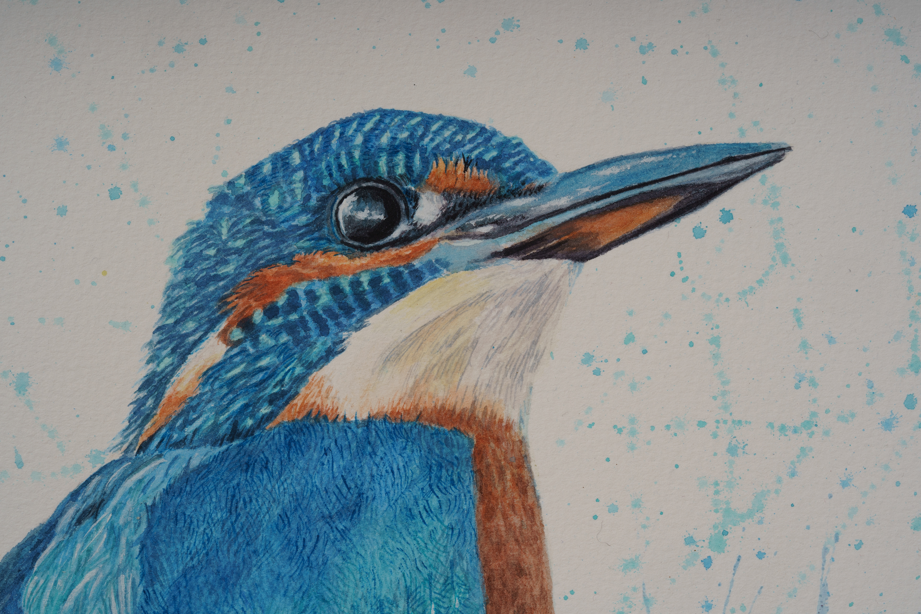 Watercolour KIngfisher