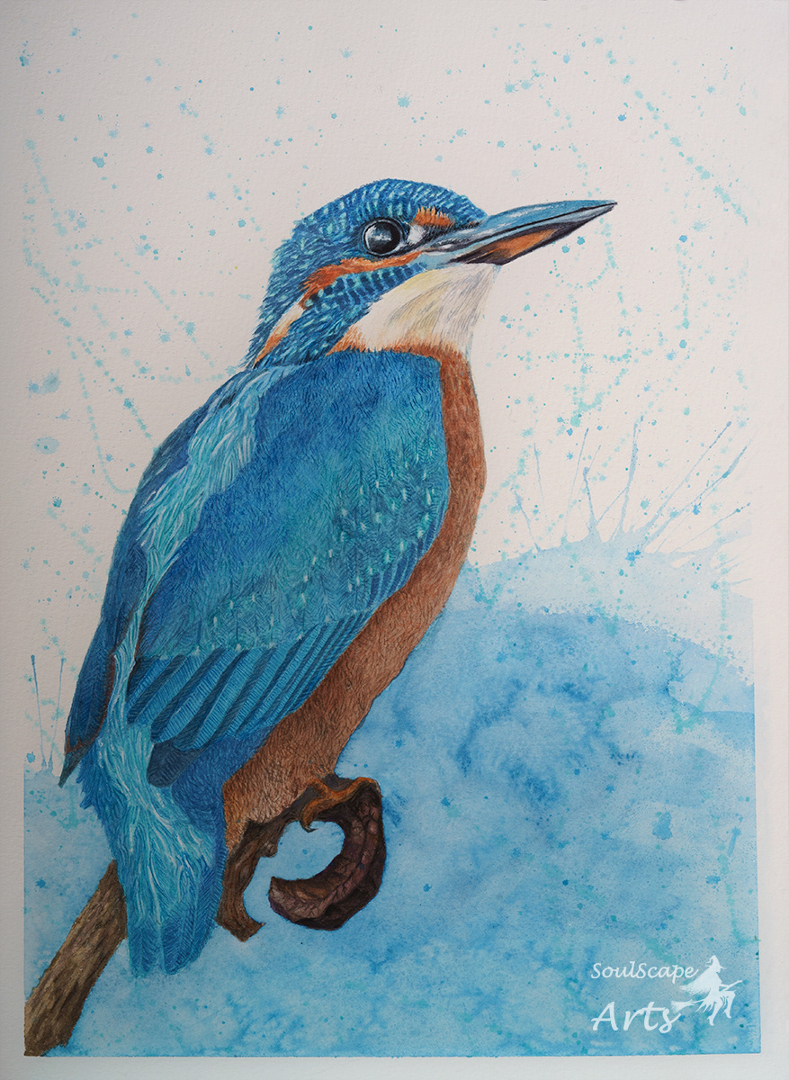 watercolour Kingfisher