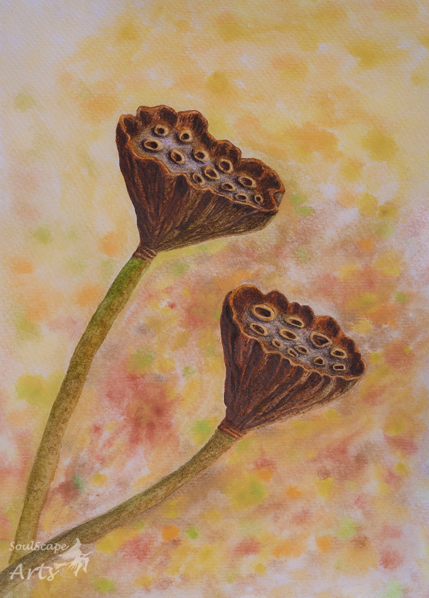 watercolour - prints available