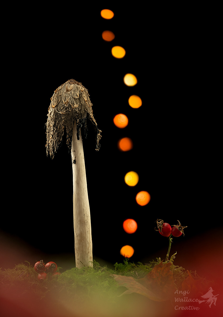 Shaggy ink cap