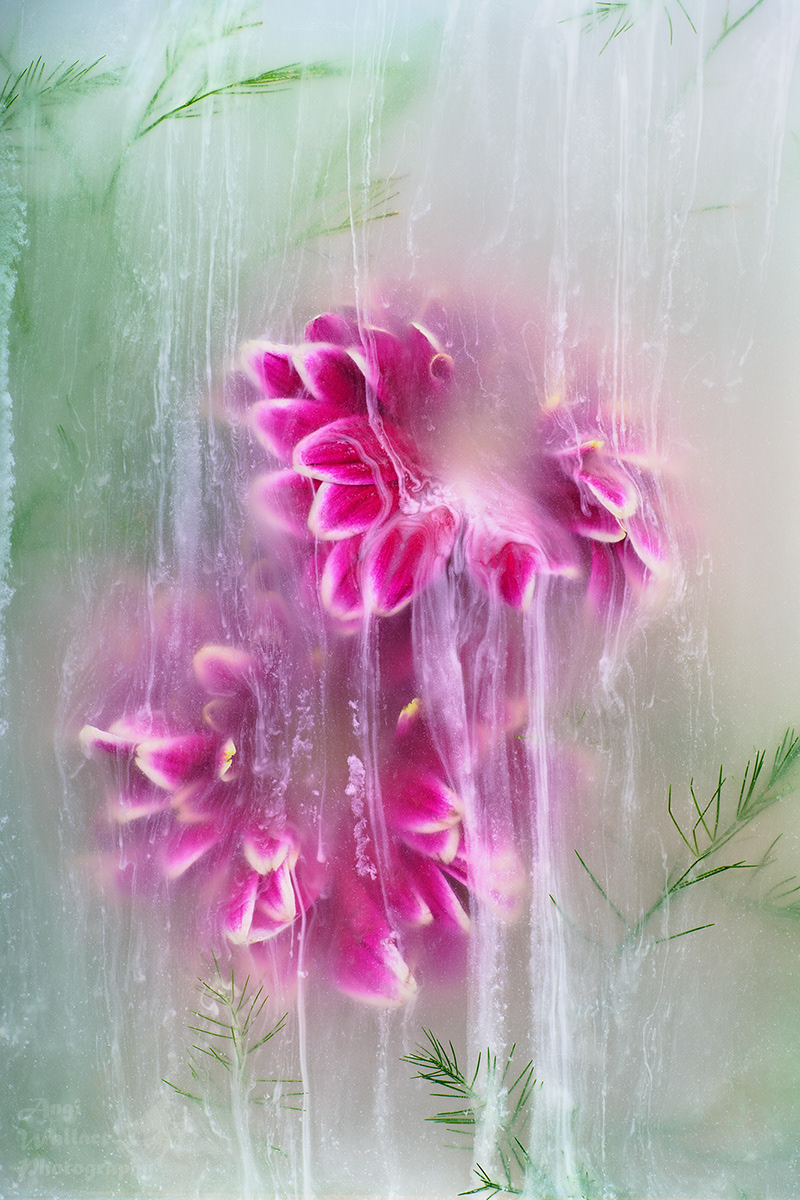 Mystify