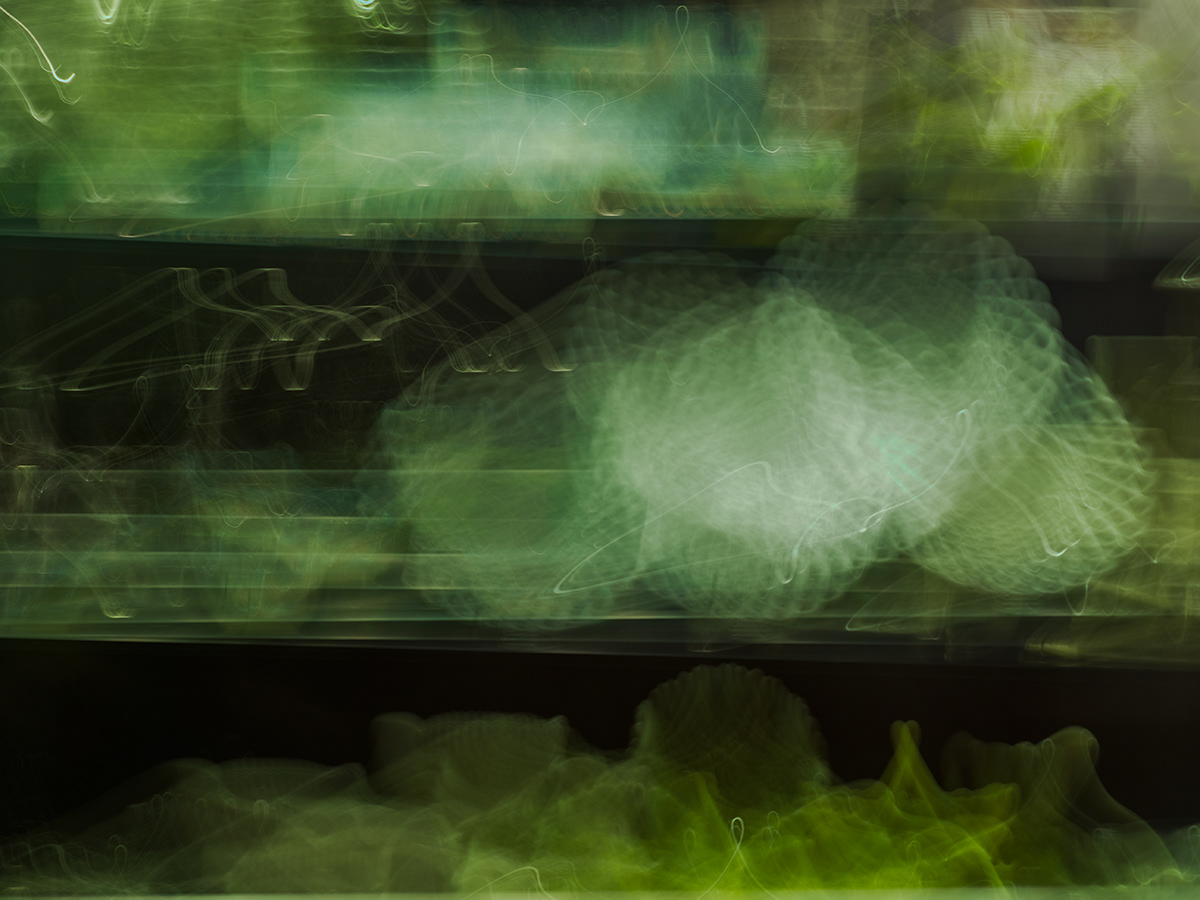 Inside Laing art gallery