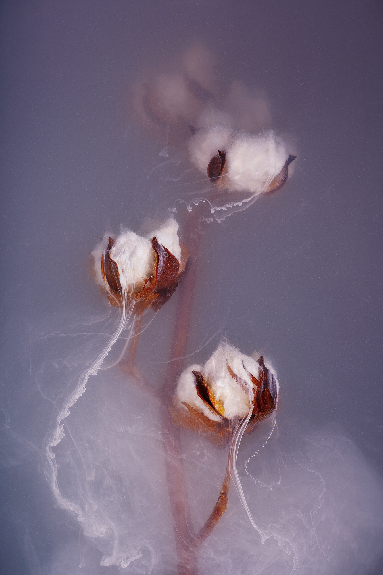 Whispers