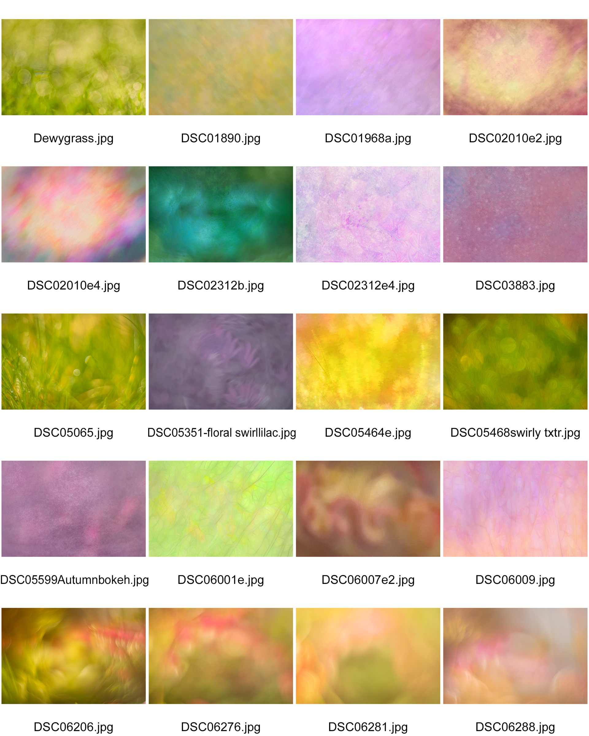 The Enchanted collection