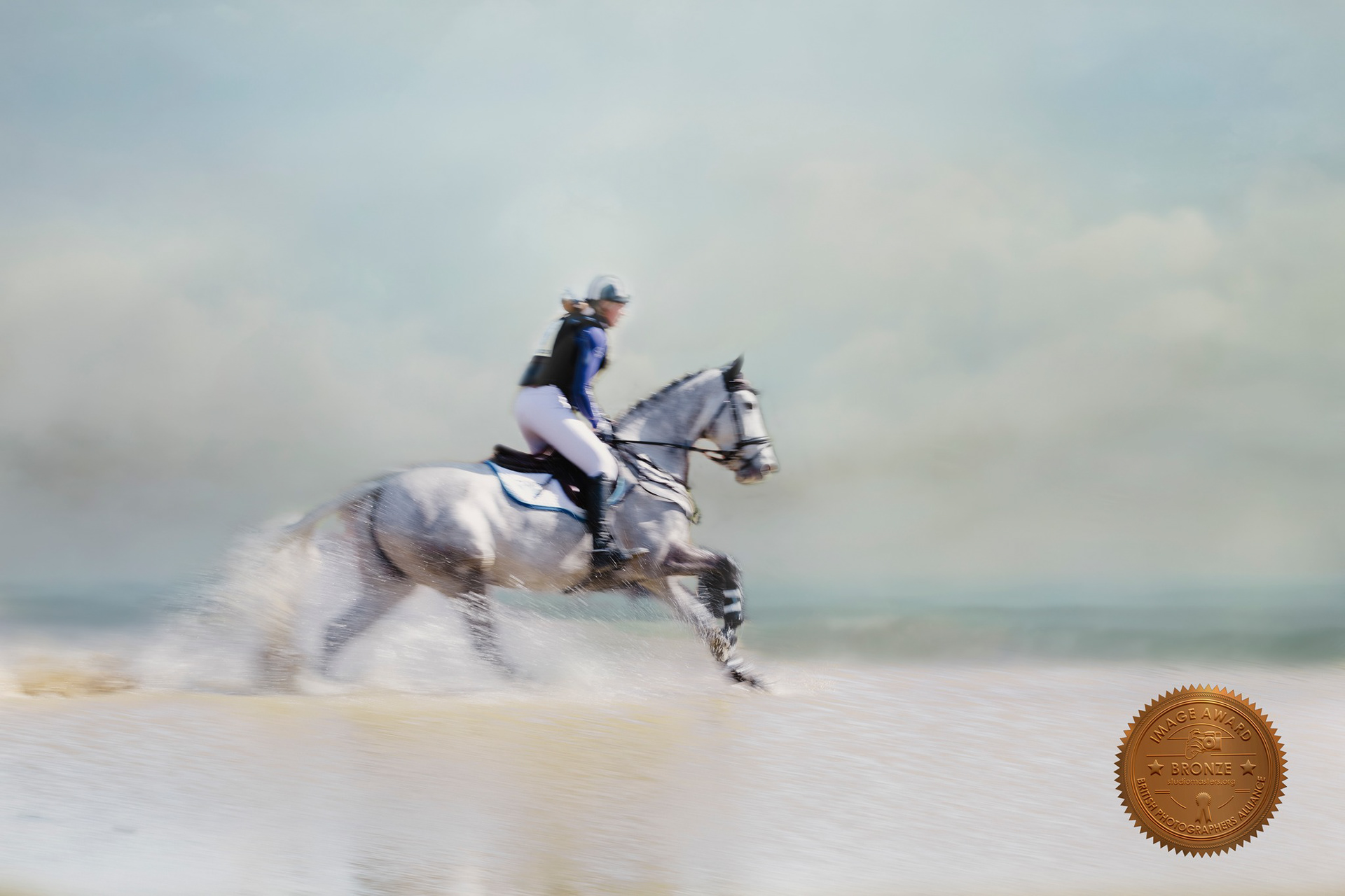 Equine Fine Art