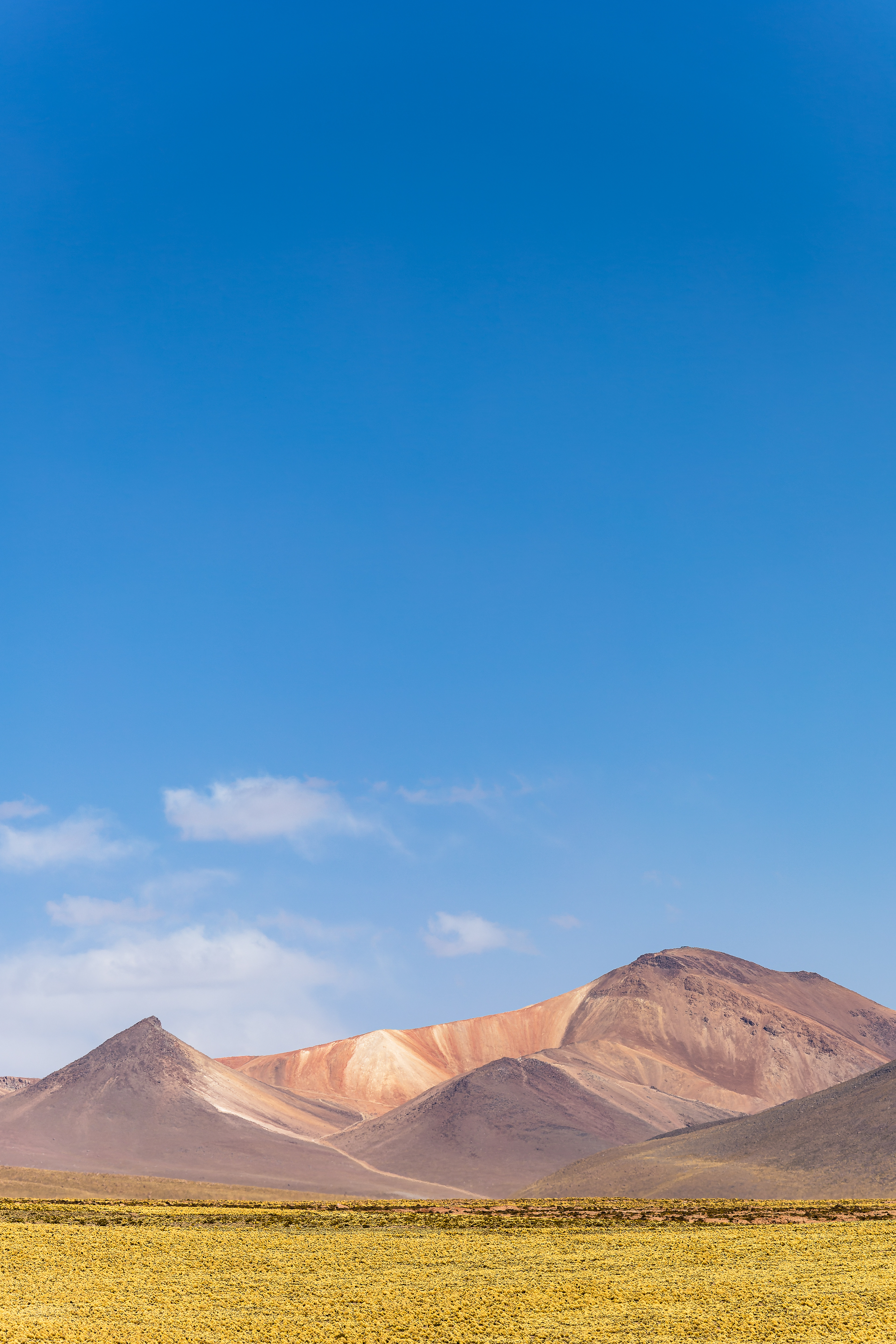 Desert Painting (vert)