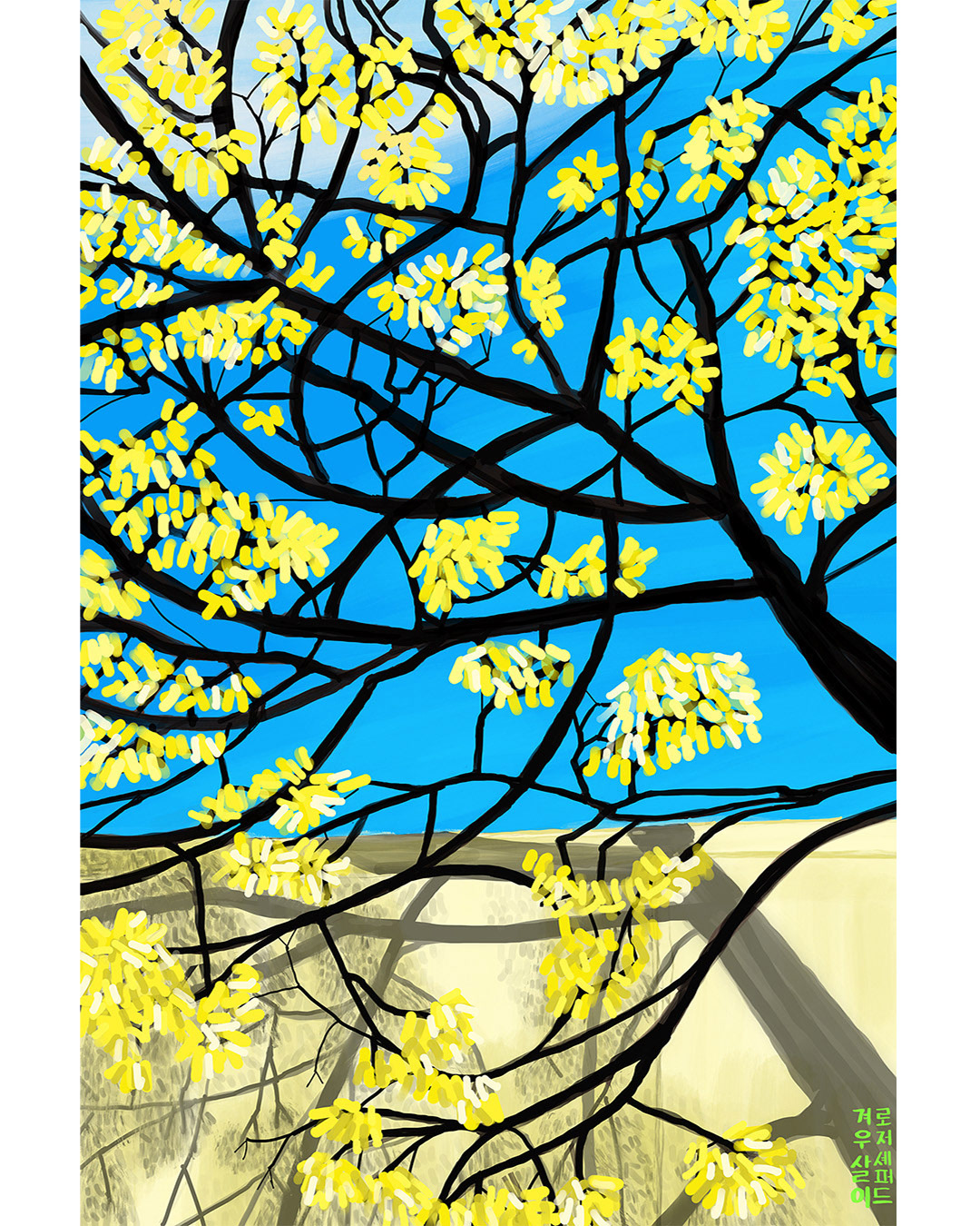 Chinaberry Tree