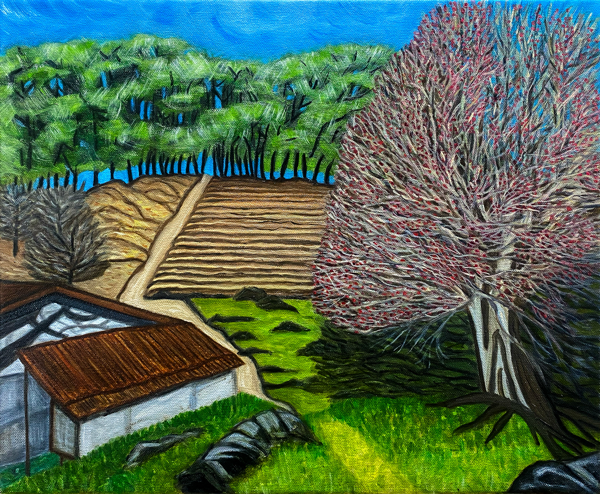 Sansuyu Tree: A 46 x 38cm oil on canvas (December 2024)