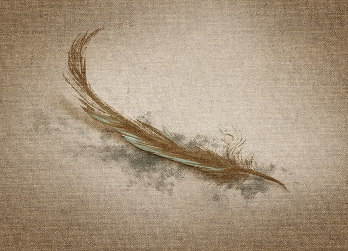 Feather - Photoshop painting